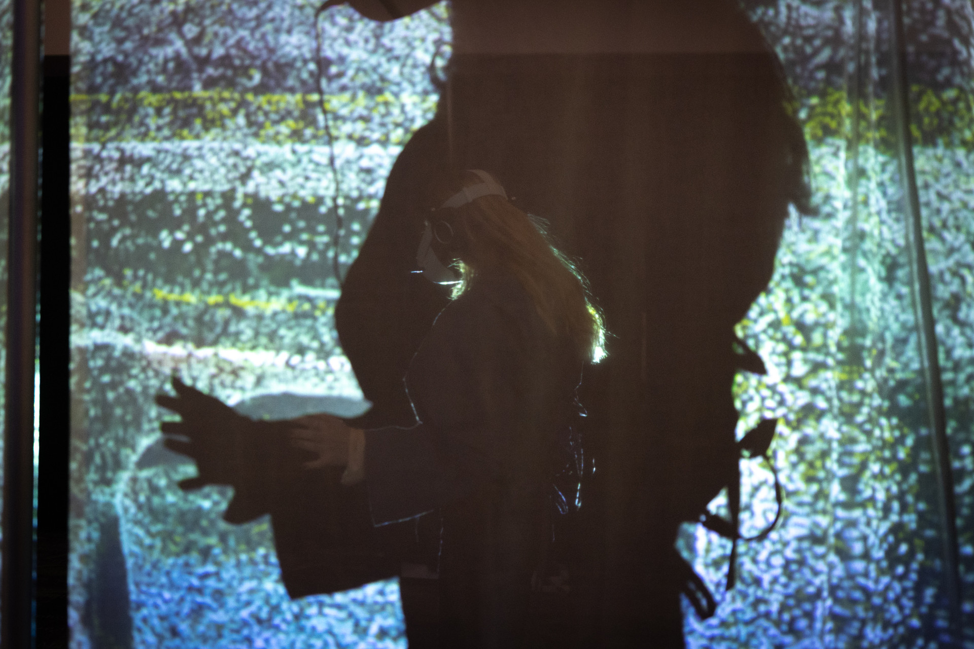 Director's Statement Image